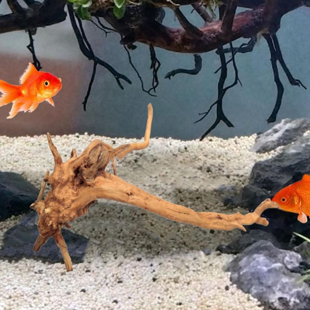 Natural Tree Trunk Aquarium De - đánh giá và giá Aquarium Fish Cichlid