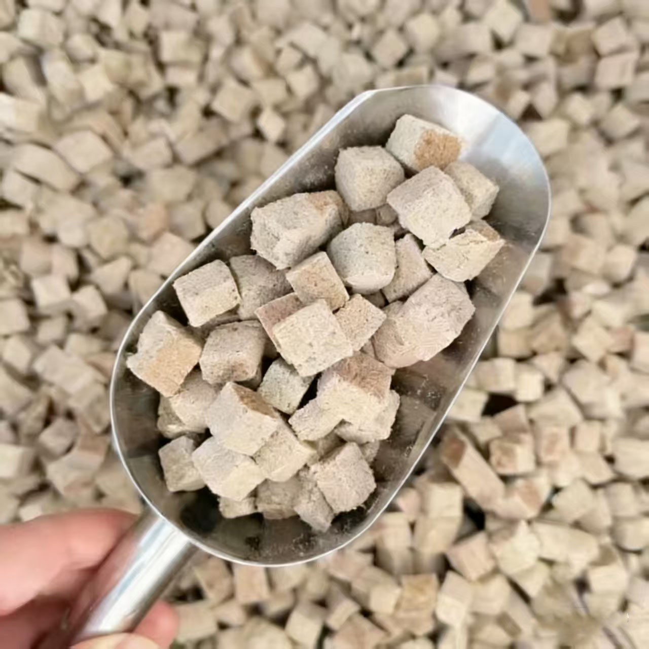 Freeze Dried Blood Worm Cubes  - đánh giá và giá Tetra Fish In Aquarium
