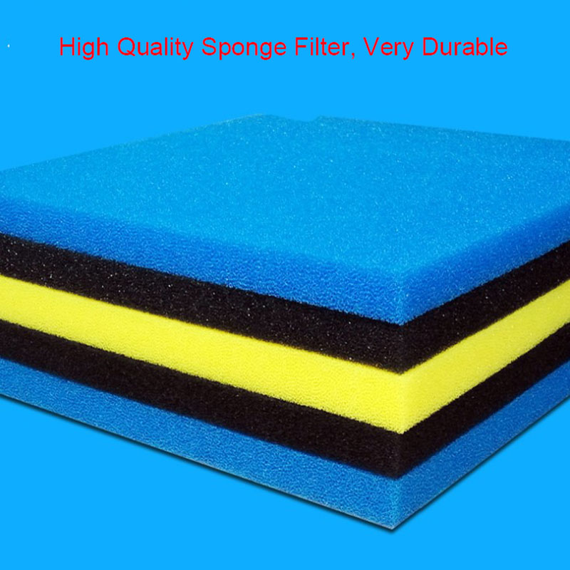 50Cm X 50Cm X 2Cm Lọc Xốp Bể C - đánh giá và giá Aquarium Fish Yellow And Black