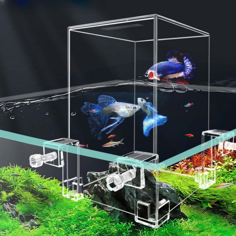 Creative Aquarium Tanks Negati - đánh giá và giá Aquarium Fish In Bowl