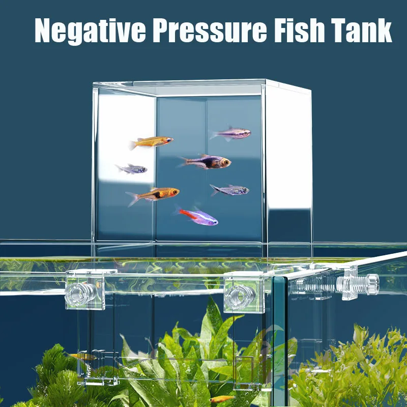 Creative Aquarium Tanks Negati - đánh giá và giá Aquarium Fish In Bowl