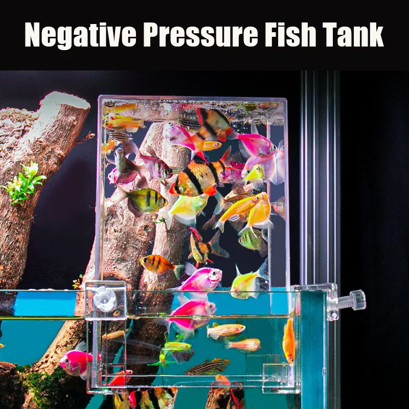 Creative Aquarium Tanks Negati - đánh giá và giá Aquarium Fish In Bowl