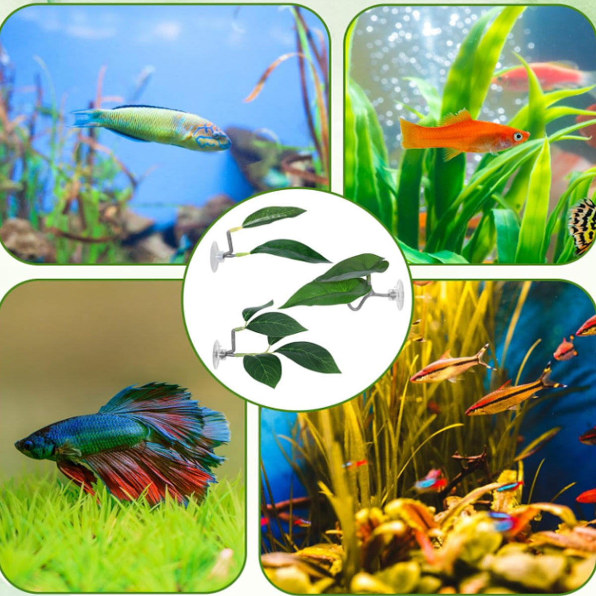 1 PC Betta Fish Hammock Soft A - đánh giá và giá Aquarium Fish Enrichment