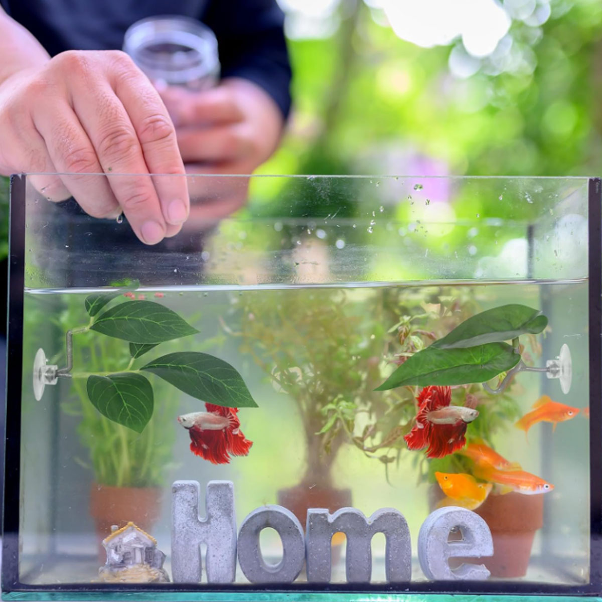 1 PC Betta Fish Hammock Soft A - đánh giá và giá Aquarium Fish Enrichment