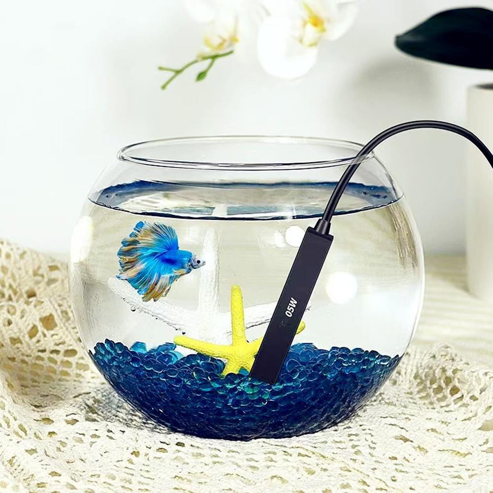 Mini USB Aquarium Heater 5V Au - đánh giá và giá Aquarium Fish In Bowl