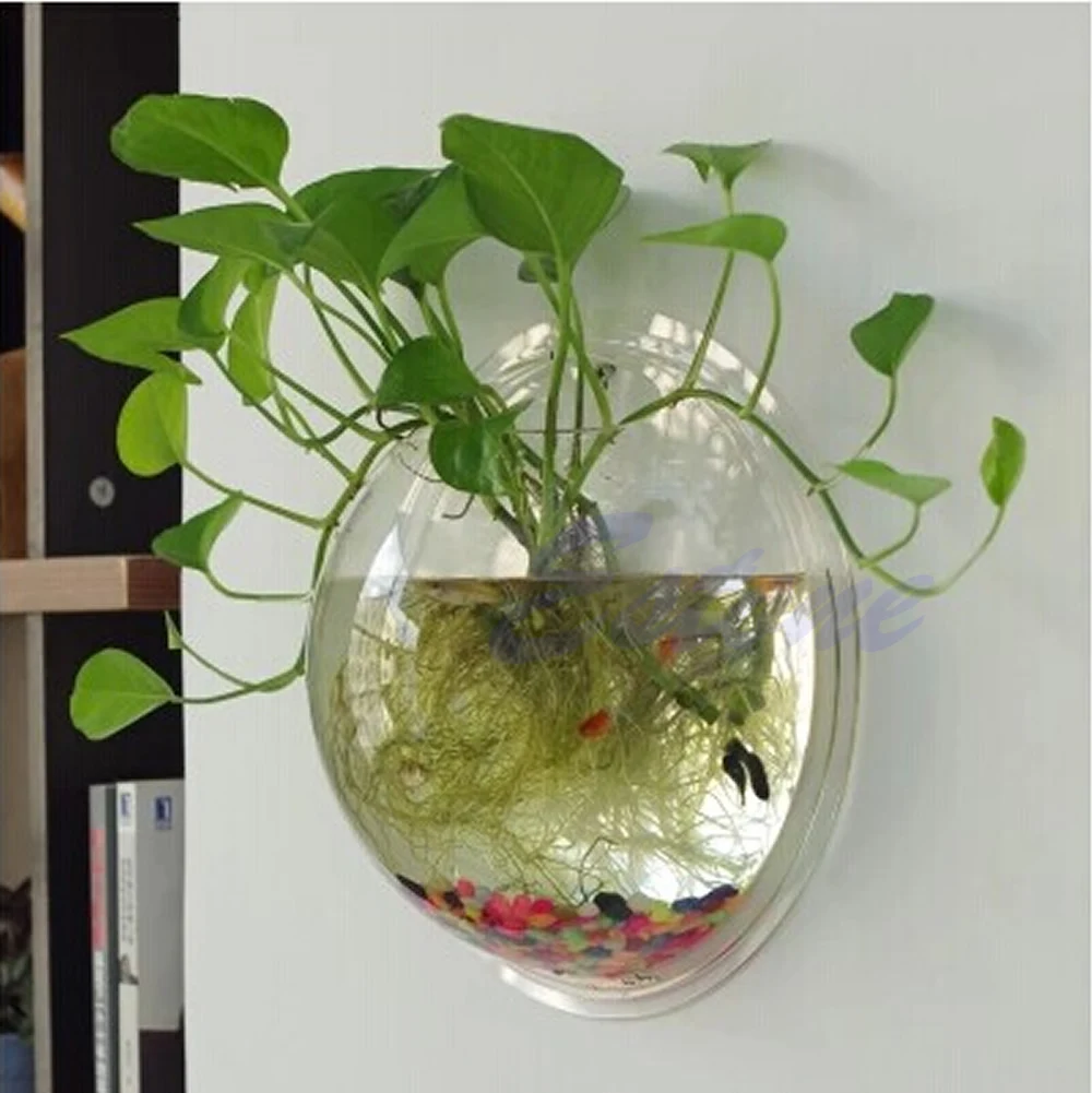 Nồi Tường Gắn Bong Bóng Bể Cá  - đánh giá và giá Aquarium Fish In Bowl