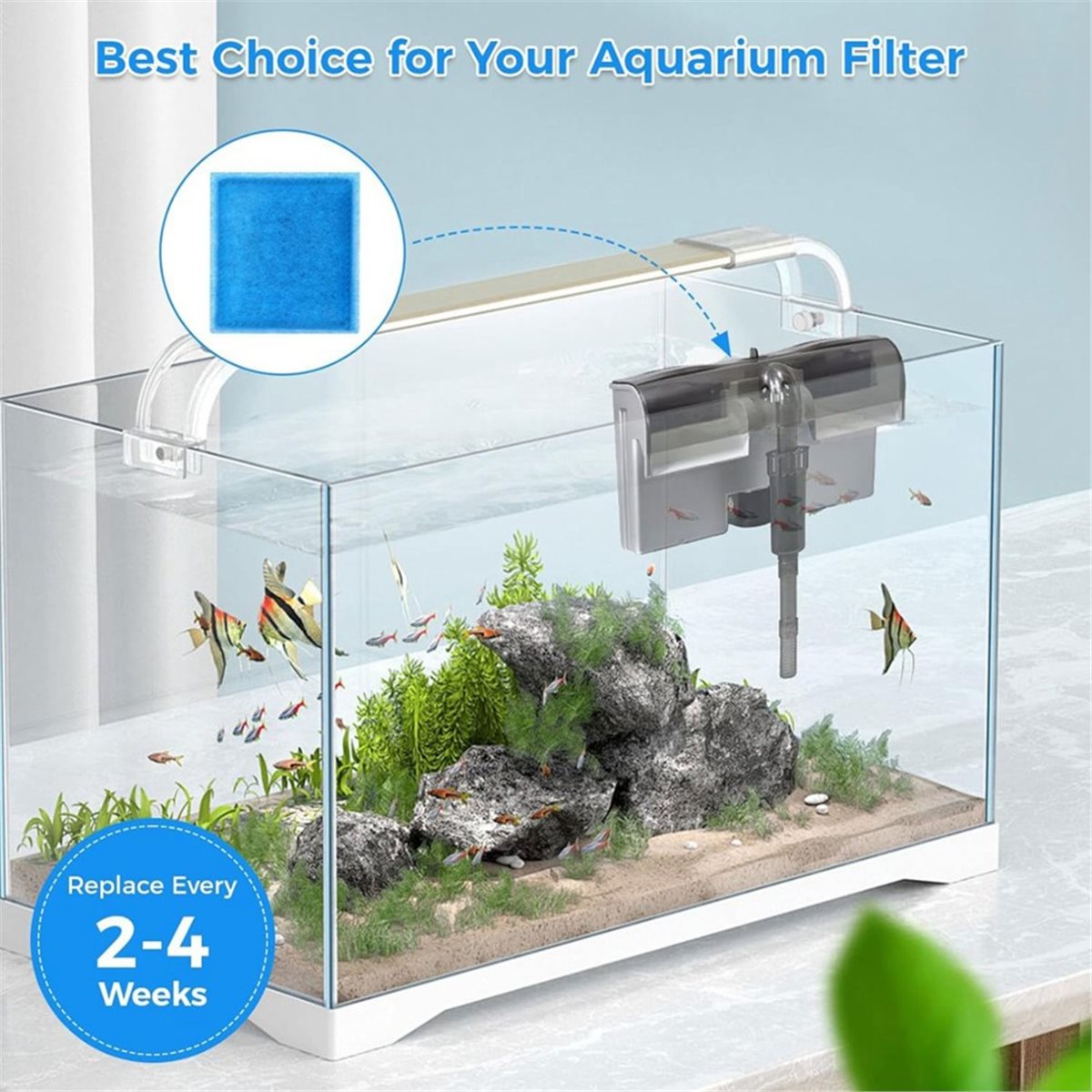《TOP RATED》10 Pcs Aquarium Fil - đánh giá và giá Aquarium Fish Rate