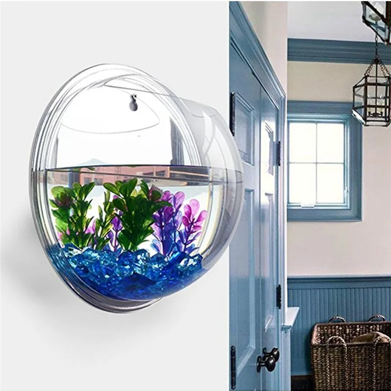 Acrylic Trong Suốt Treo Tường  - đánh giá và giá Aquarium Fish In Bowl