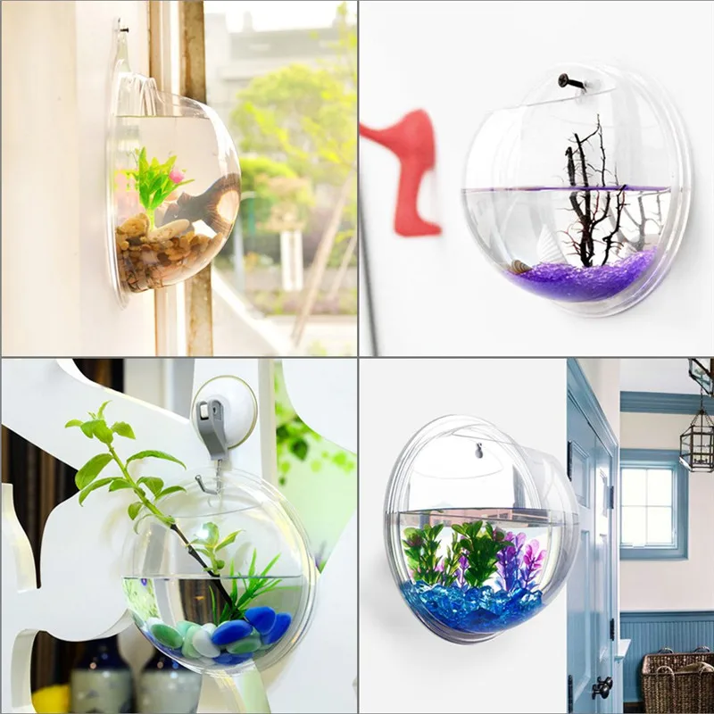 Acrylic Trong Suốt Treo Tường  - đánh giá và giá Aquarium Fish In Bowl