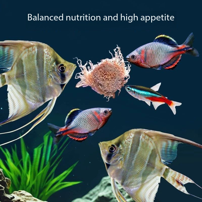 165ML/550ML High Protein Freez - đánh giá và giá Aquarium Fish Vitamin