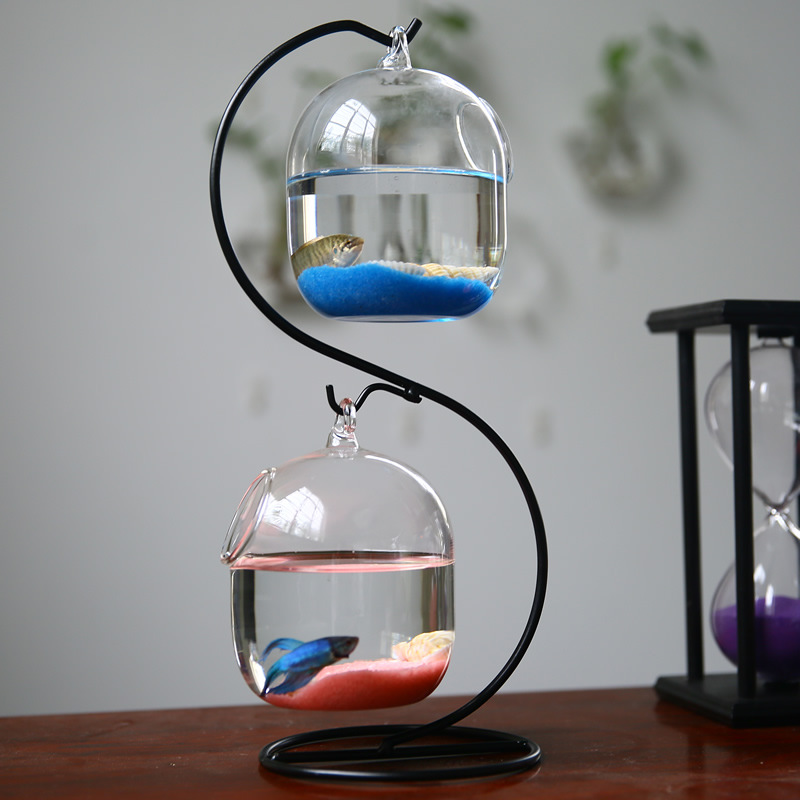 Sáng Tạo Hai Tầng Đình Chỉ Tro - đánh giá và giá Aquarium Fish In Bowl