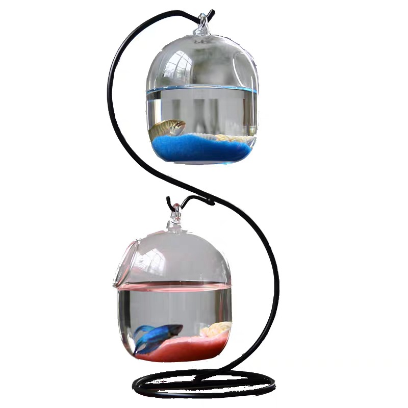 Sáng Tạo Hai Tầng Đình Chỉ Tro - đánh giá và giá Aquarium Fish In Bowl