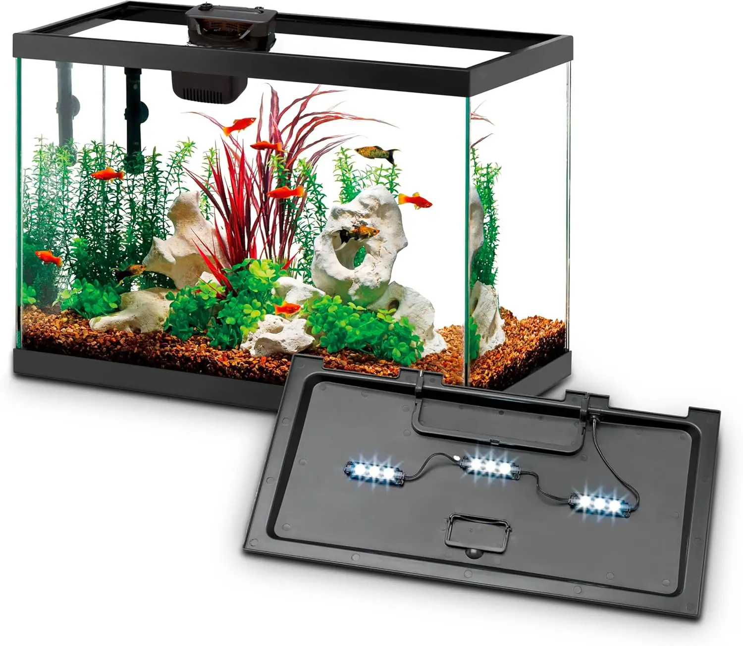 Aquarium Starter Kit with Smar - đánh giá và giá Tetra Fish In Aquarium