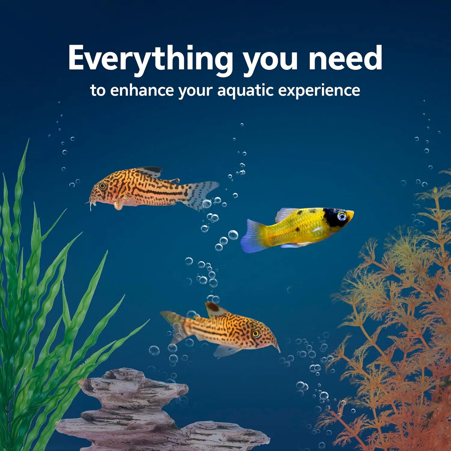 Aquarium Starter Kit with Smar - đánh giá và giá Tetra Fish In Aquarium