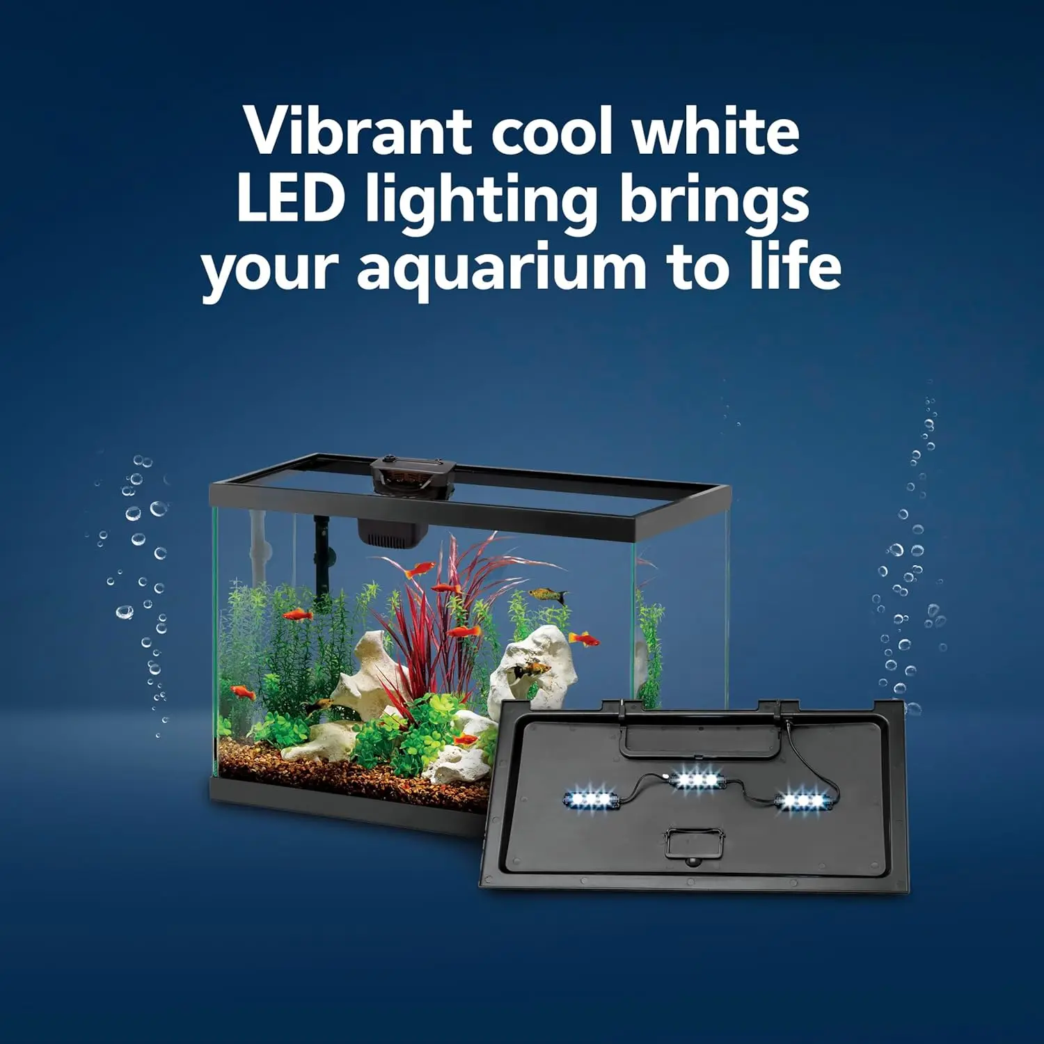 Aquarium Starter Kit with Smar - đánh giá và giá Tetra Fish In Aquarium