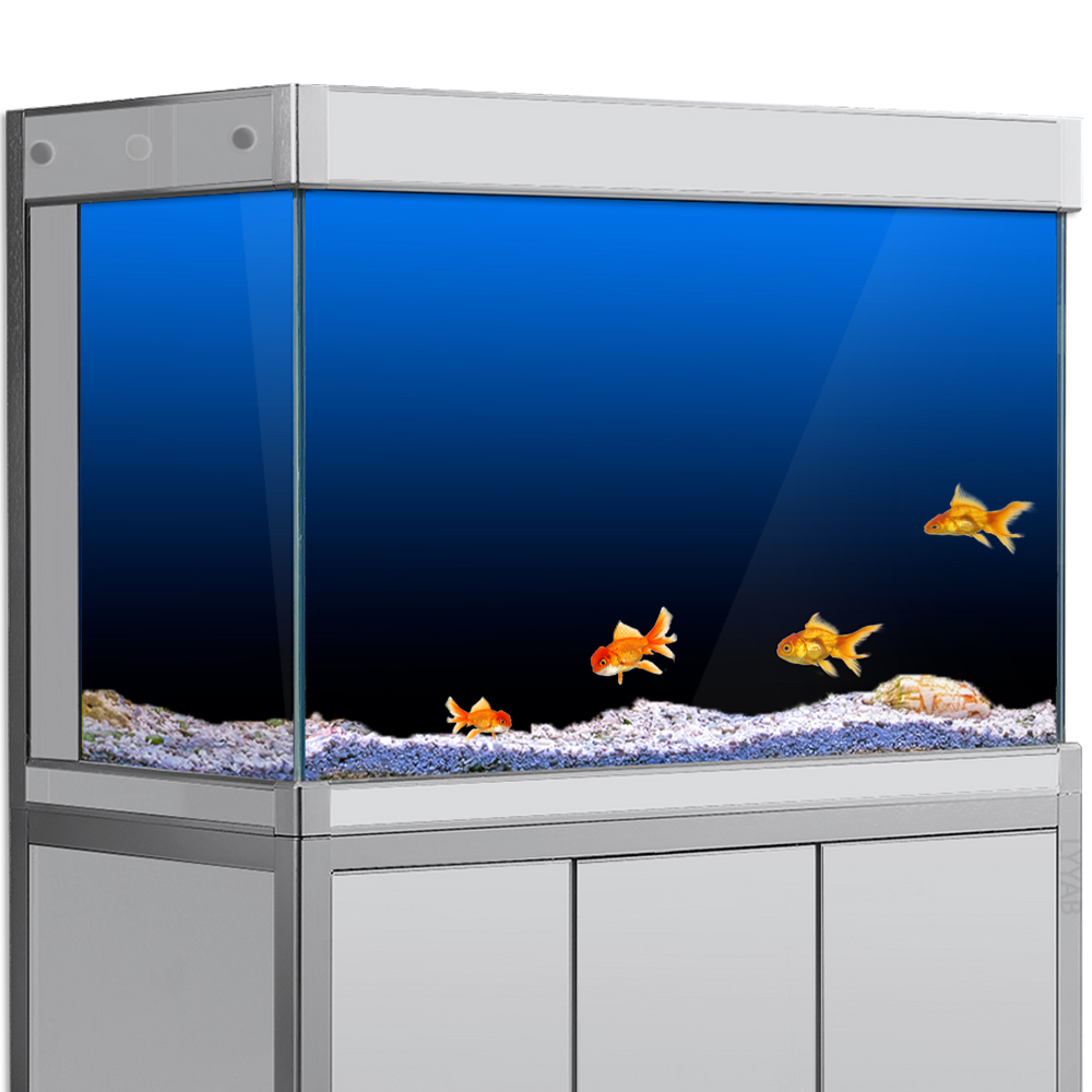 Fish Tank Background Sticker B - đánh giá và giá Aquarium Fish Black
