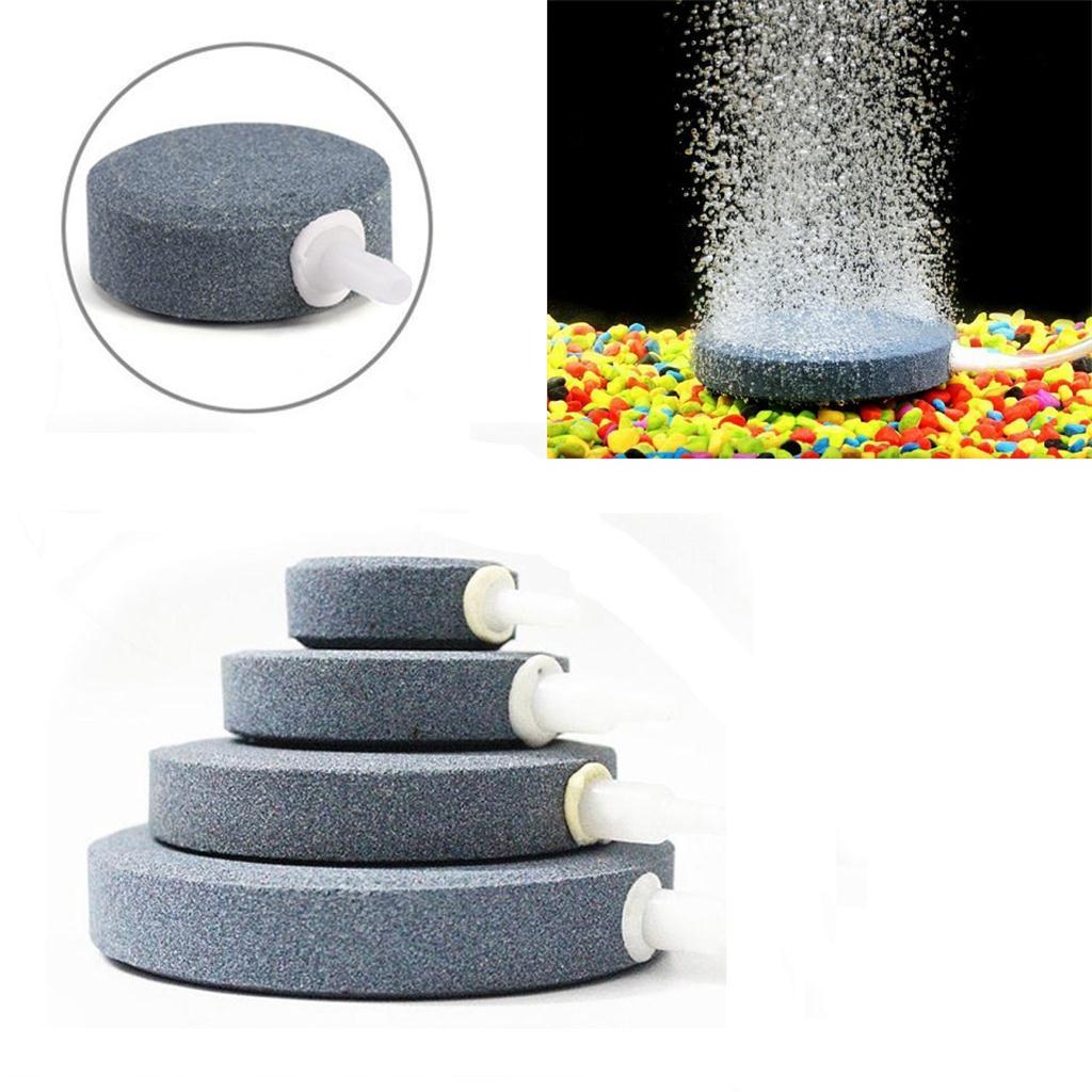 Bubble Disk Ceramic Air Stone  - đánh giá và giá Fish Co Aquarium