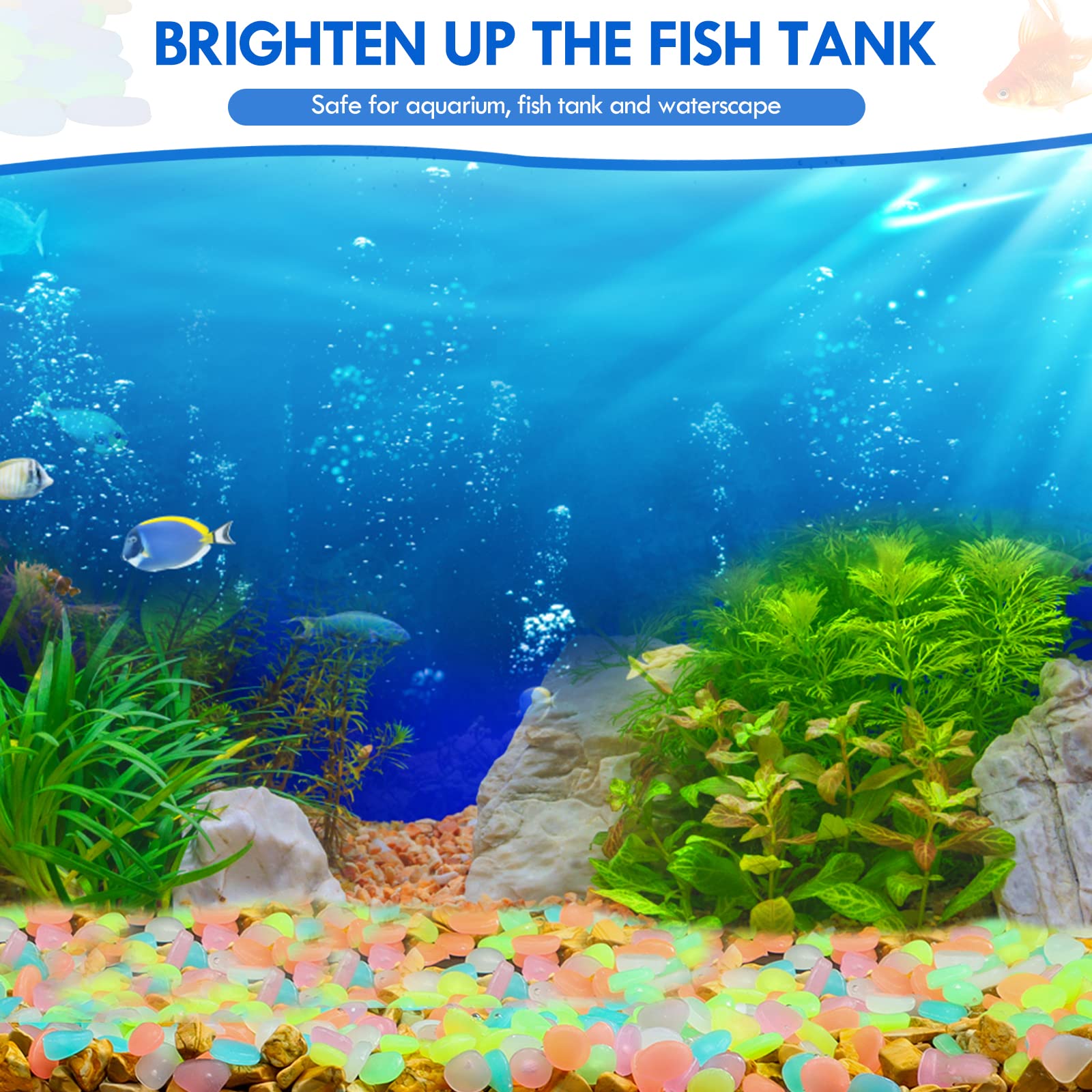 100Pcs Glow in the Dark Garden - đánh giá và giá Aquarium Fish Fishing