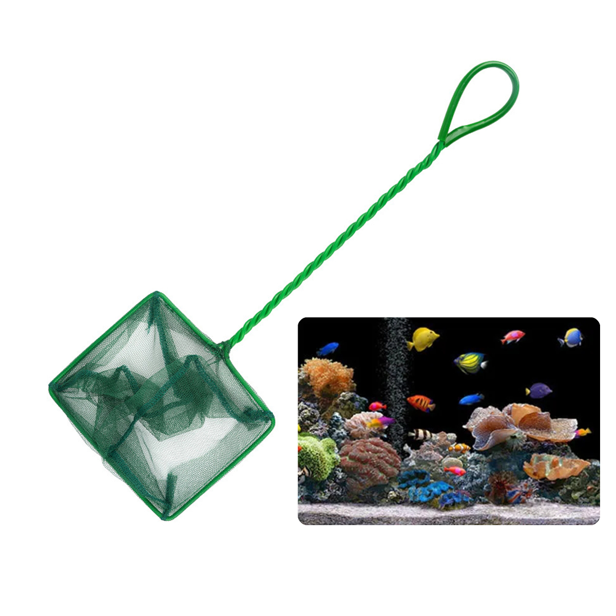 3~10 Inch Portable Nylon Green - đánh giá và giá Aquarium Fish Green