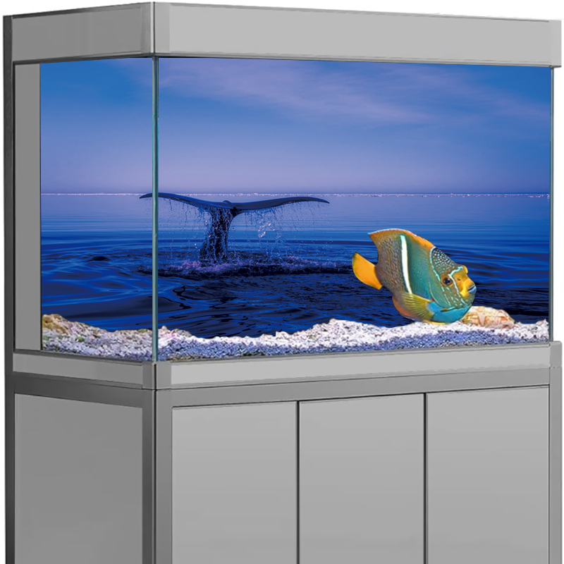 Aquarium Background Sticker Do - đánh giá và giá Aquarium Fish Dolphin