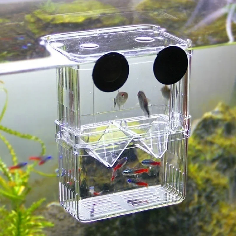 Multifunctional Fish Aquarium  - đánh giá và giá Aquarium Fish In Bowl