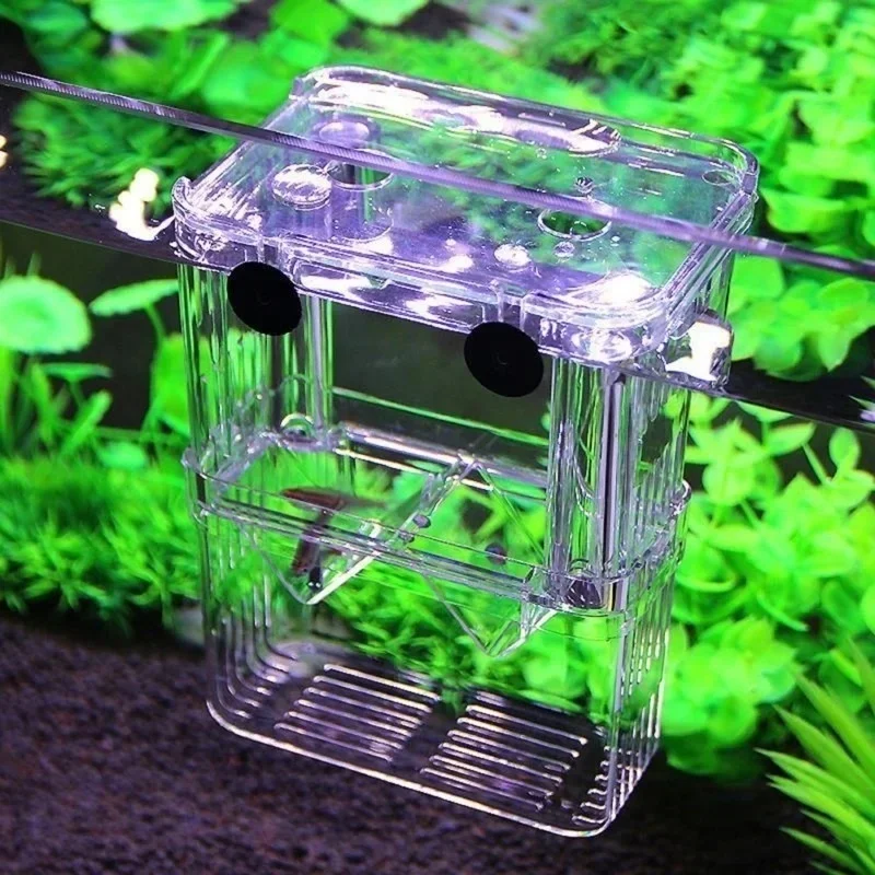 Multifunctional Fish Aquarium  - đánh giá và giá Aquarium Fish In Bowl