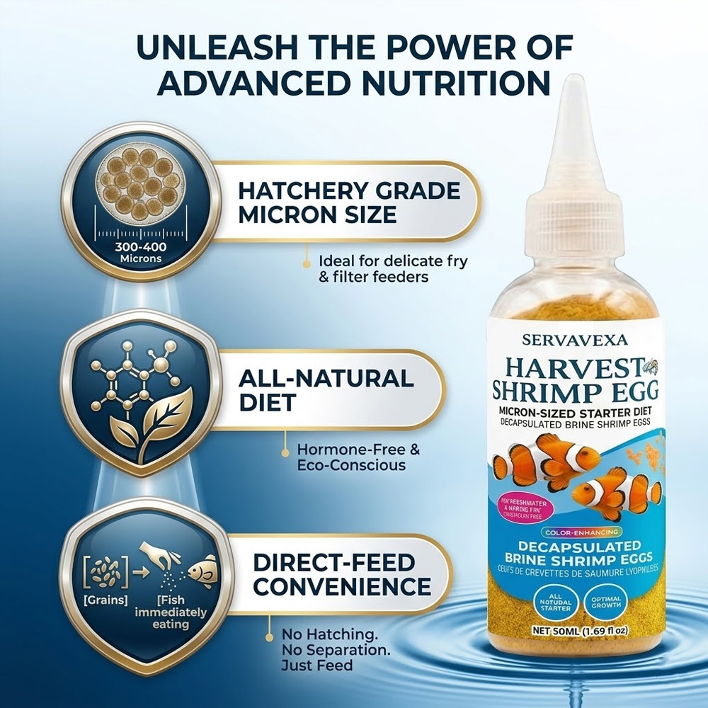 High Protein Fish Food for Bet - đánh giá và giá Aquarium Fish Vitamin