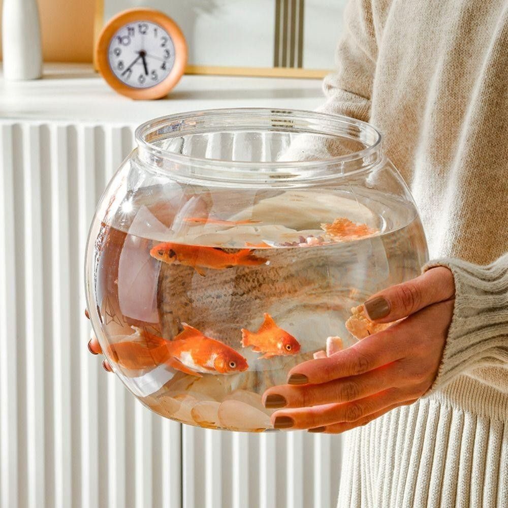 New Transparent Fish Tank Roun - đánh giá và giá Aquarium Fish In Bowl
