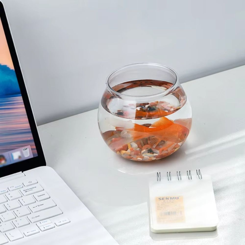 New Transparent Fish Tank Roun - đánh giá và giá Aquarium Fish In Bowl