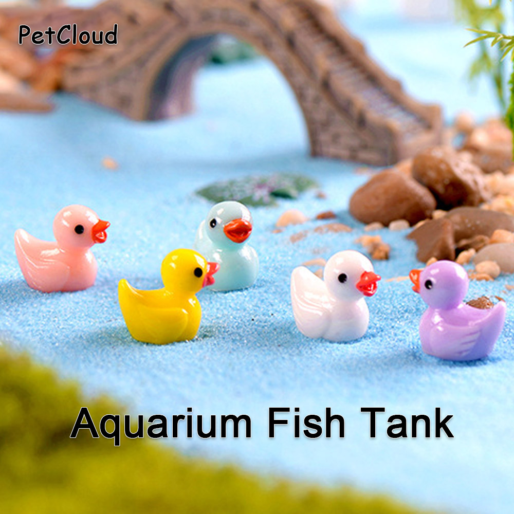 Bộ 5 Cá Vật Trang Trí Vịt Cá V - đánh giá và giá Aquarium Fish Dolphin