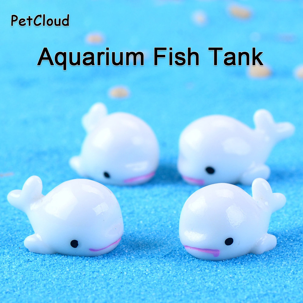 Bộ 5 Cá Vật Trang Trí Vịt Cá V - đánh giá và giá Aquarium Fish Dolphin