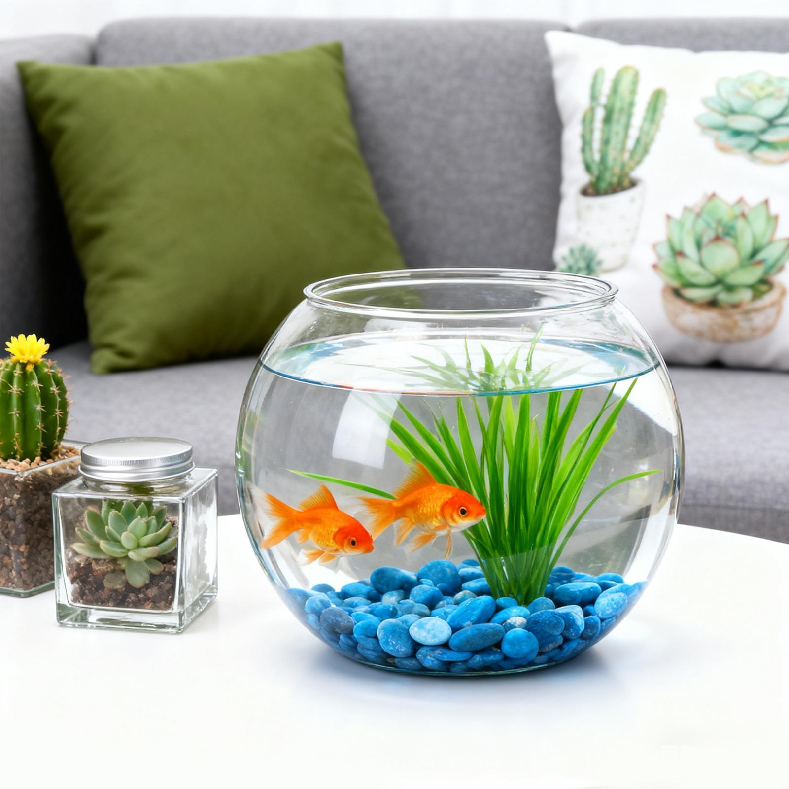 Bubble Bowl Space-Saving Aquar - đánh giá và giá Aquarium Fish In Bowl