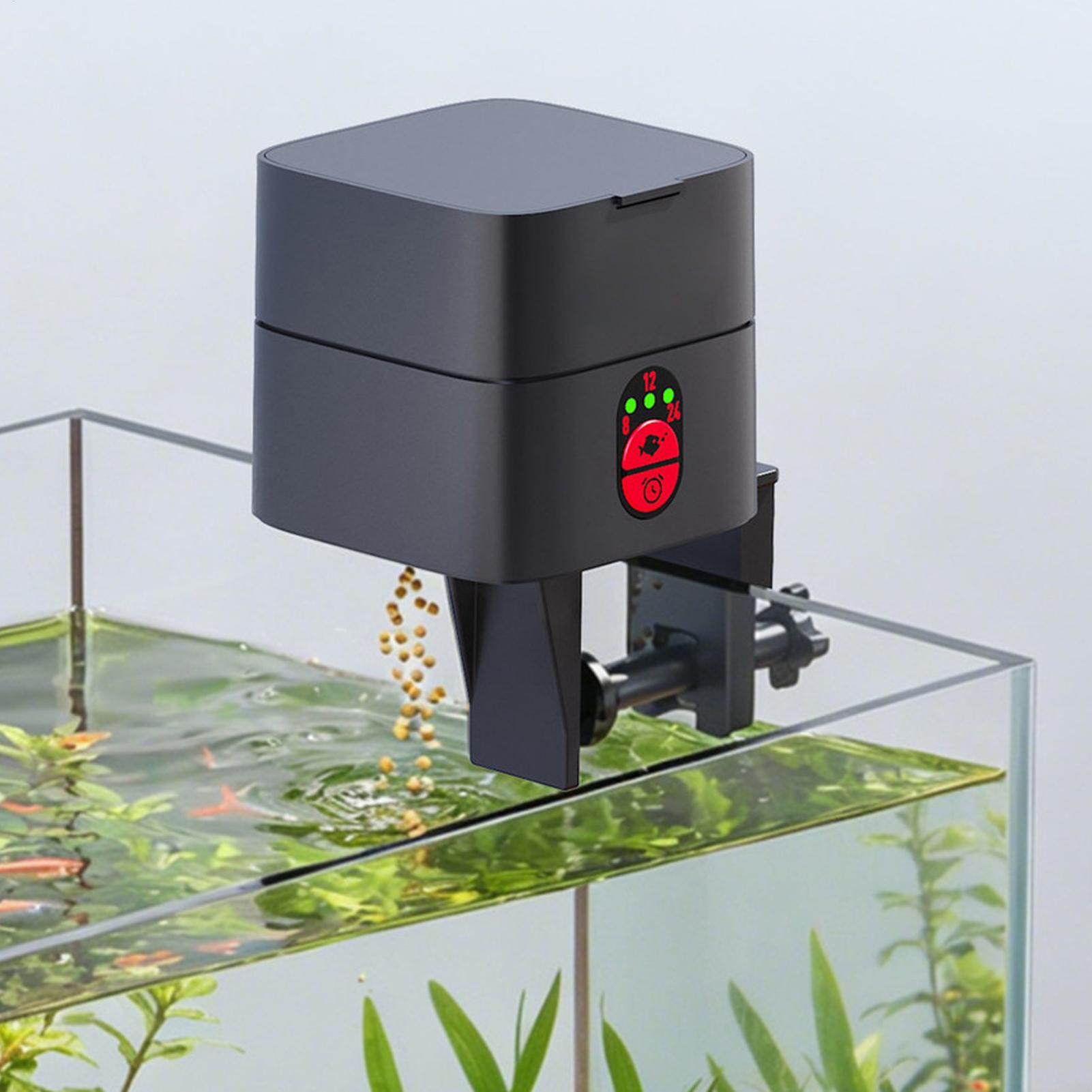 Auto Fish Feeder For Aquarium  - đánh giá và giá Aquarium Fish In Bowl