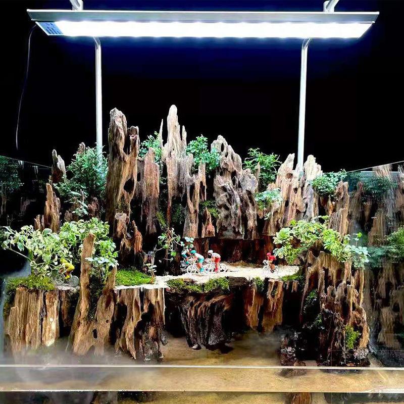 △ Shrimp Wood Aquarium Decor,  - đánh giá và giá Aquarium Fish Cichlid