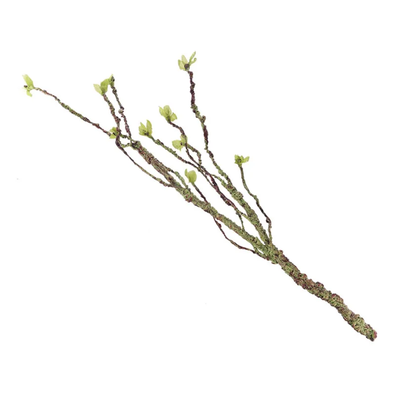 Vines Decor Climbing Branches  - đánh giá và giá Aquarium Fish Cichlid