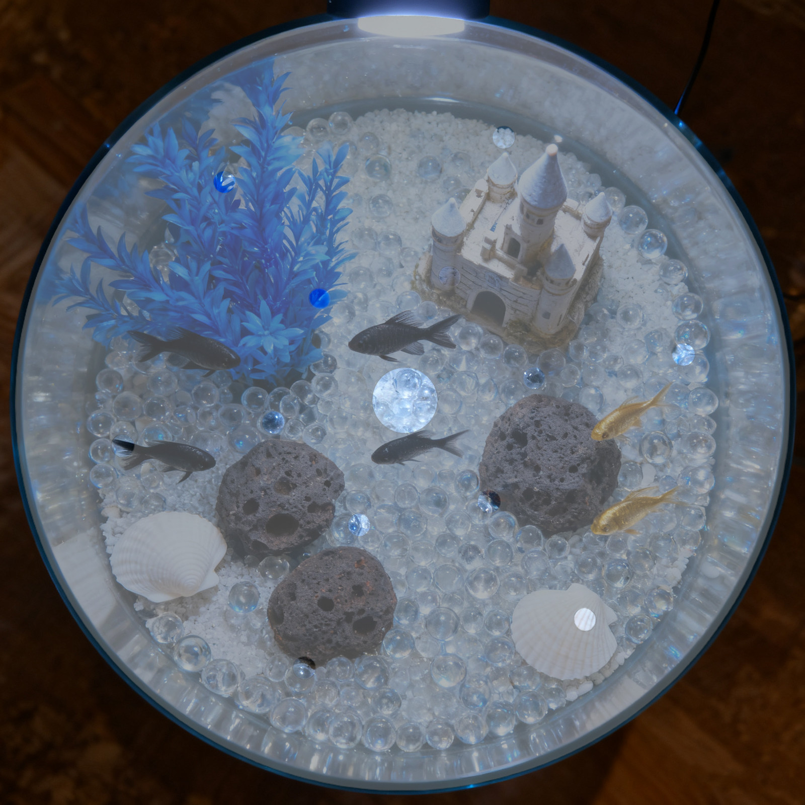 7 Inch Round Acrylic Fish Tank - đánh giá và giá Aquarium Fish In Bowl